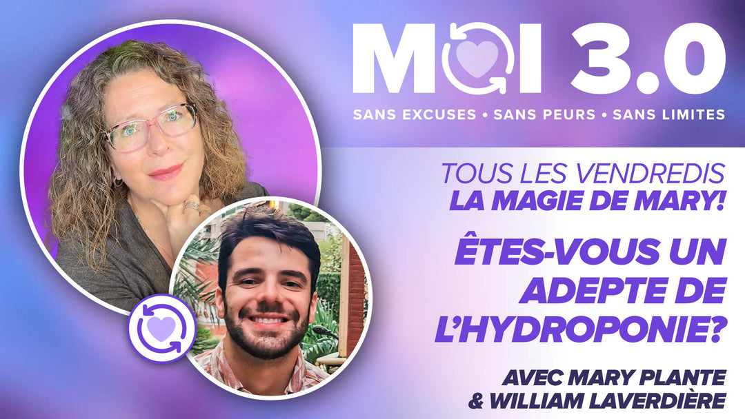 Les engrais pour les plantes en hydroponie sont importants!